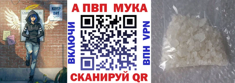 Альфа ПВП СК  omg маркетплейс  Дигора 