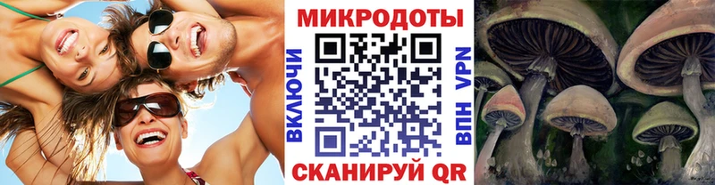 Псилоцибиновые грибы Psilocybine cubensis  Дигора 